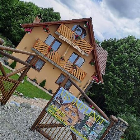 Vis Implinit Hotel Cîrţişoara Bagian luar foto
