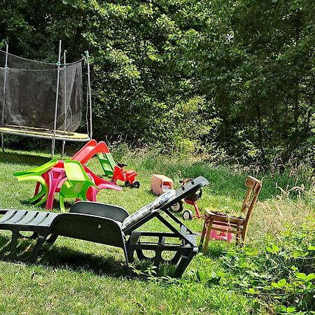 Vis Implinit Hotel Cîrţişoara Bagian luar foto