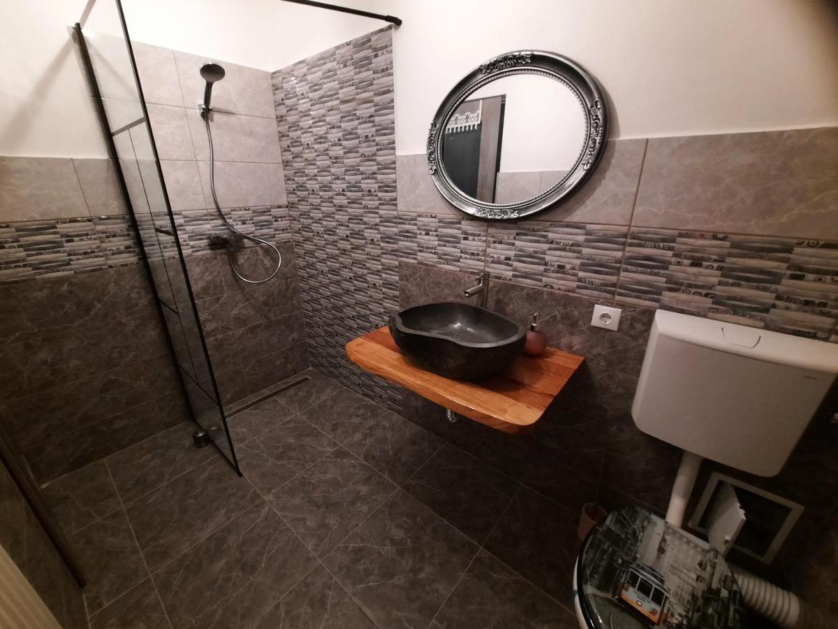 Vis Implinit Hotel Cîrţişoara Bagian luar foto