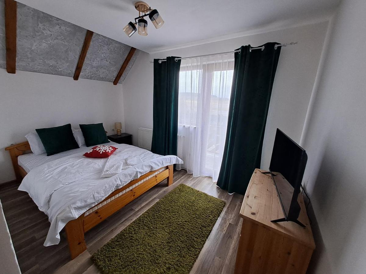 Vis Implinit Hotel Cîrţişoara Bagian luar foto