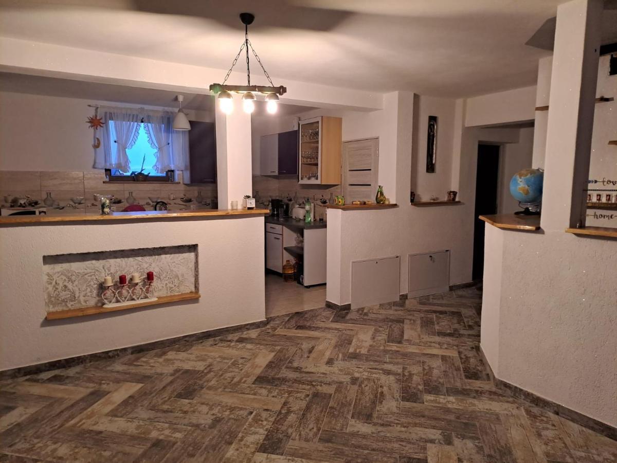 Vis Implinit Hotel Cîrţişoara Bagian luar foto