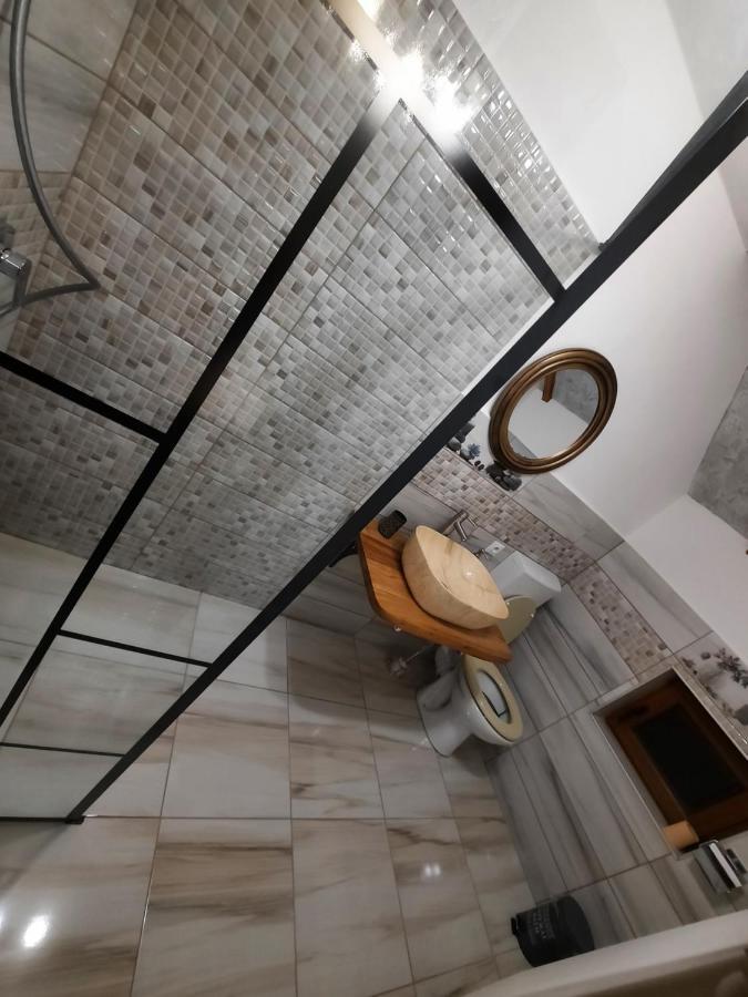 Vis Implinit Hotel Cîrţişoara Bagian luar foto