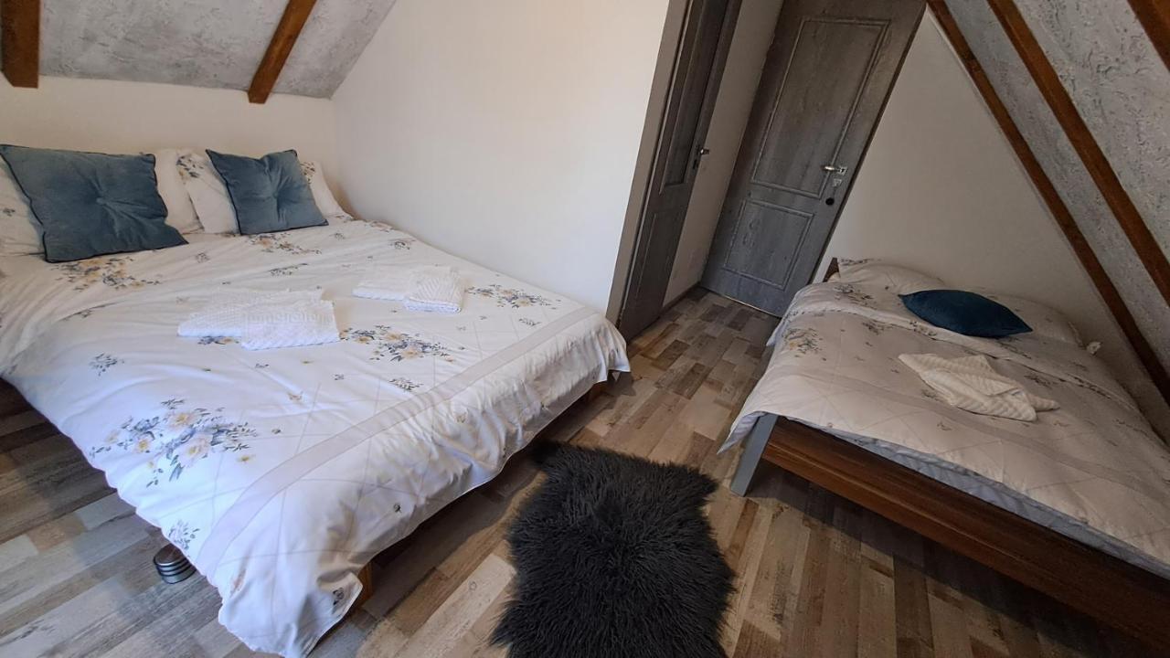 Vis Implinit Hotel Cîrţişoara Bagian luar foto