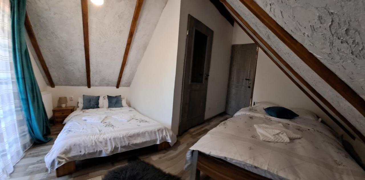 Vis Implinit Hotel Cîrţişoara Bagian luar foto