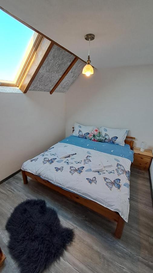 Vis Implinit Hotel Cîrţişoara Bagian luar foto
