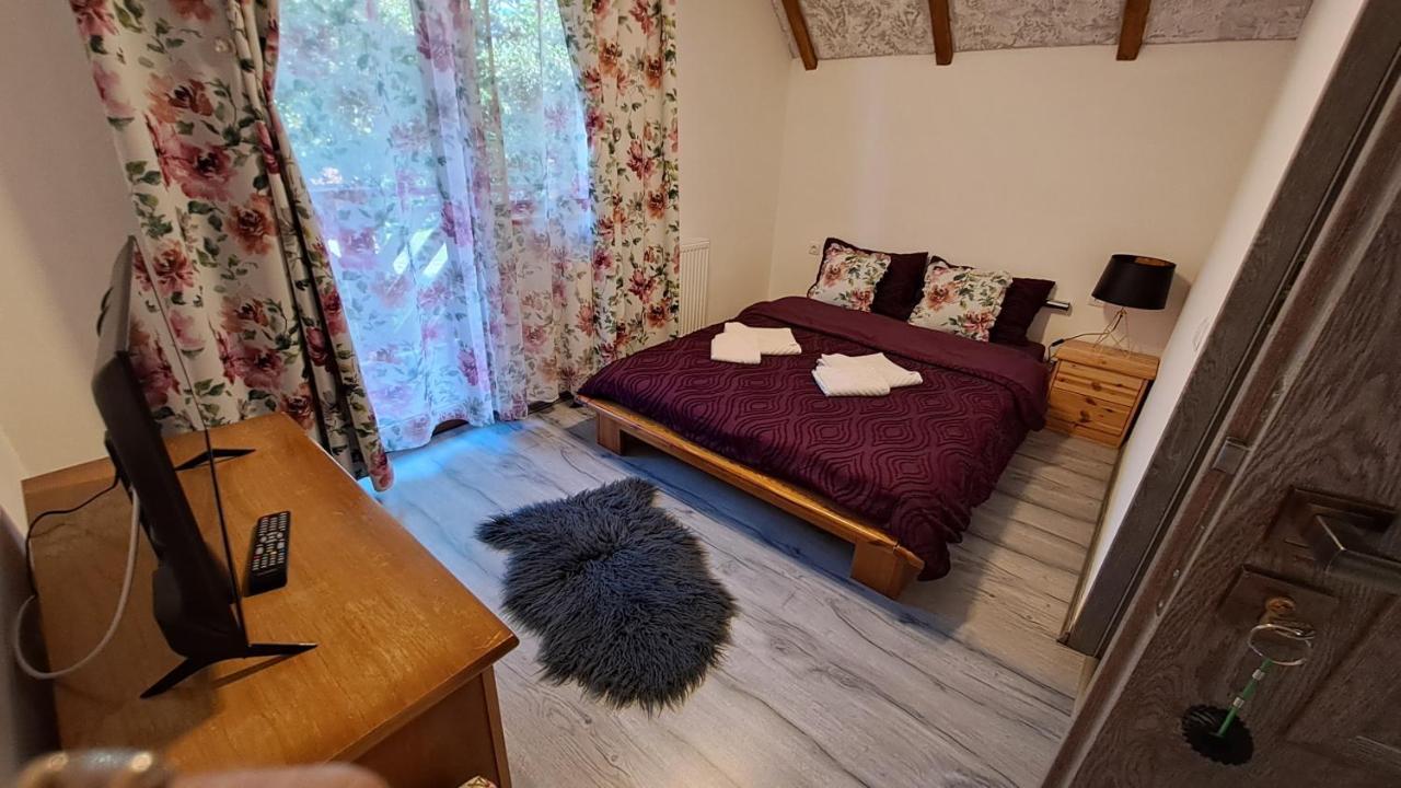 Vis Implinit Hotel Cîrţişoara Bagian luar foto