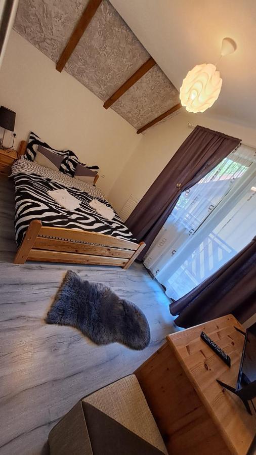 Vis Implinit Hotel Cîrţişoara Bagian luar foto