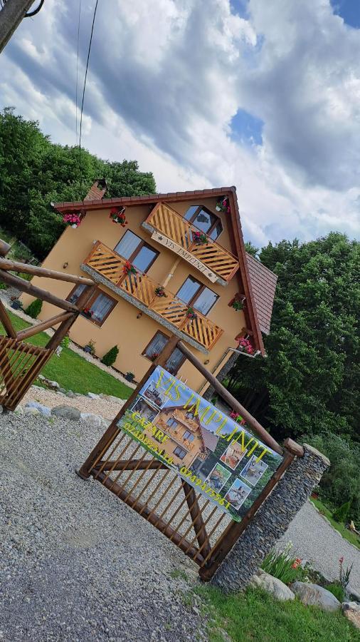 Vis Implinit Hotel Cîrţişoara Bagian luar foto