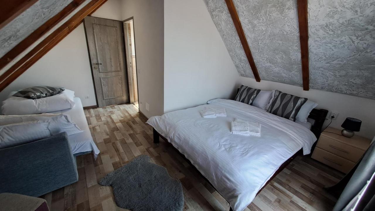 Vis Implinit Hotel Cîrţişoara Bagian luar foto