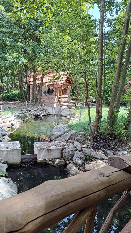 Vis Implinit Hotel Cîrţişoara Bagian luar foto