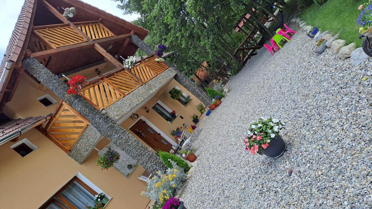 Vis Implinit Hotel Cîrţişoara Bagian luar foto