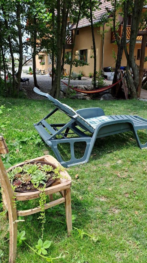 Vis Implinit Hotel Cîrţişoara Bagian luar foto