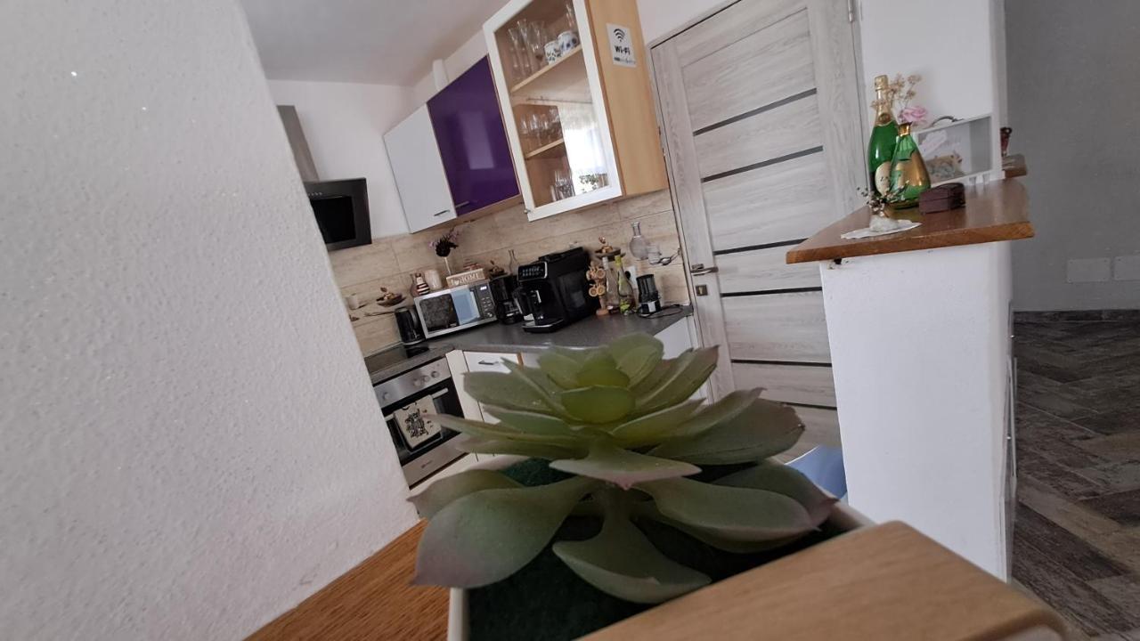 Vis Implinit Hotel Cîrţişoara Bagian luar foto