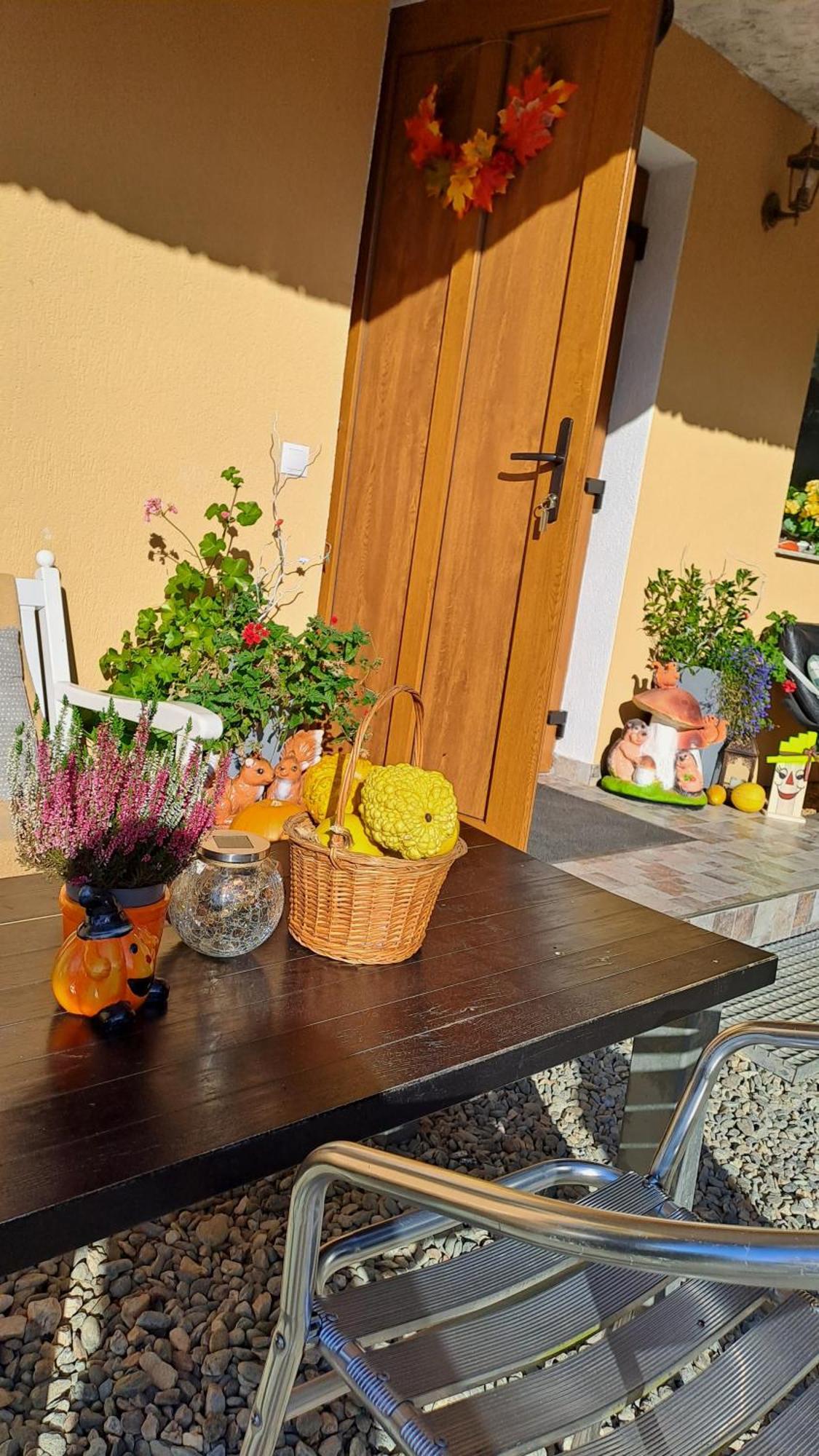 Vis Implinit Hotel Cîrţişoara Bagian luar foto