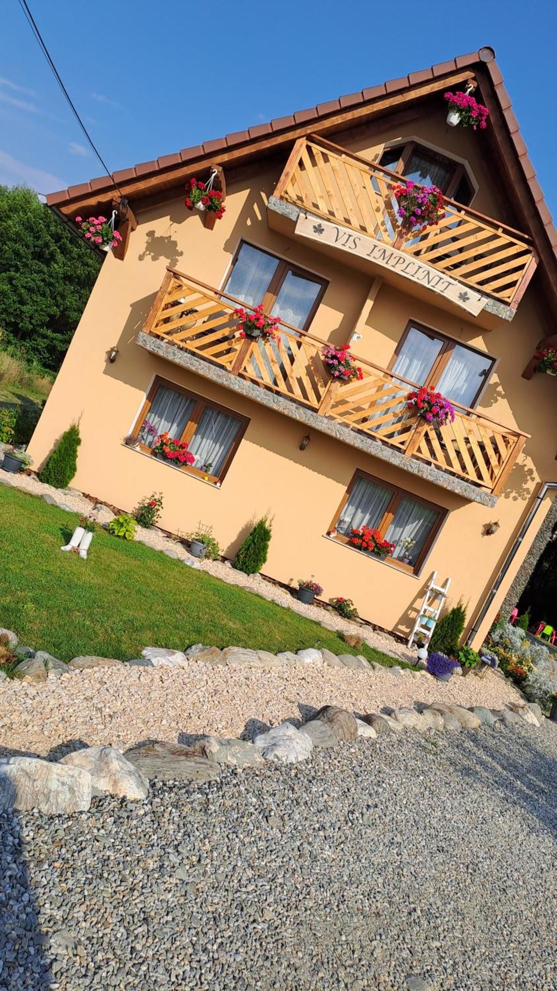 Vis Implinit Hotel Cîrţişoara Bagian luar foto