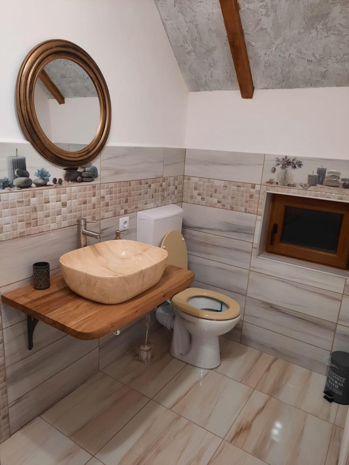 Vis Implinit Hotel Cîrţişoara Bagian luar foto