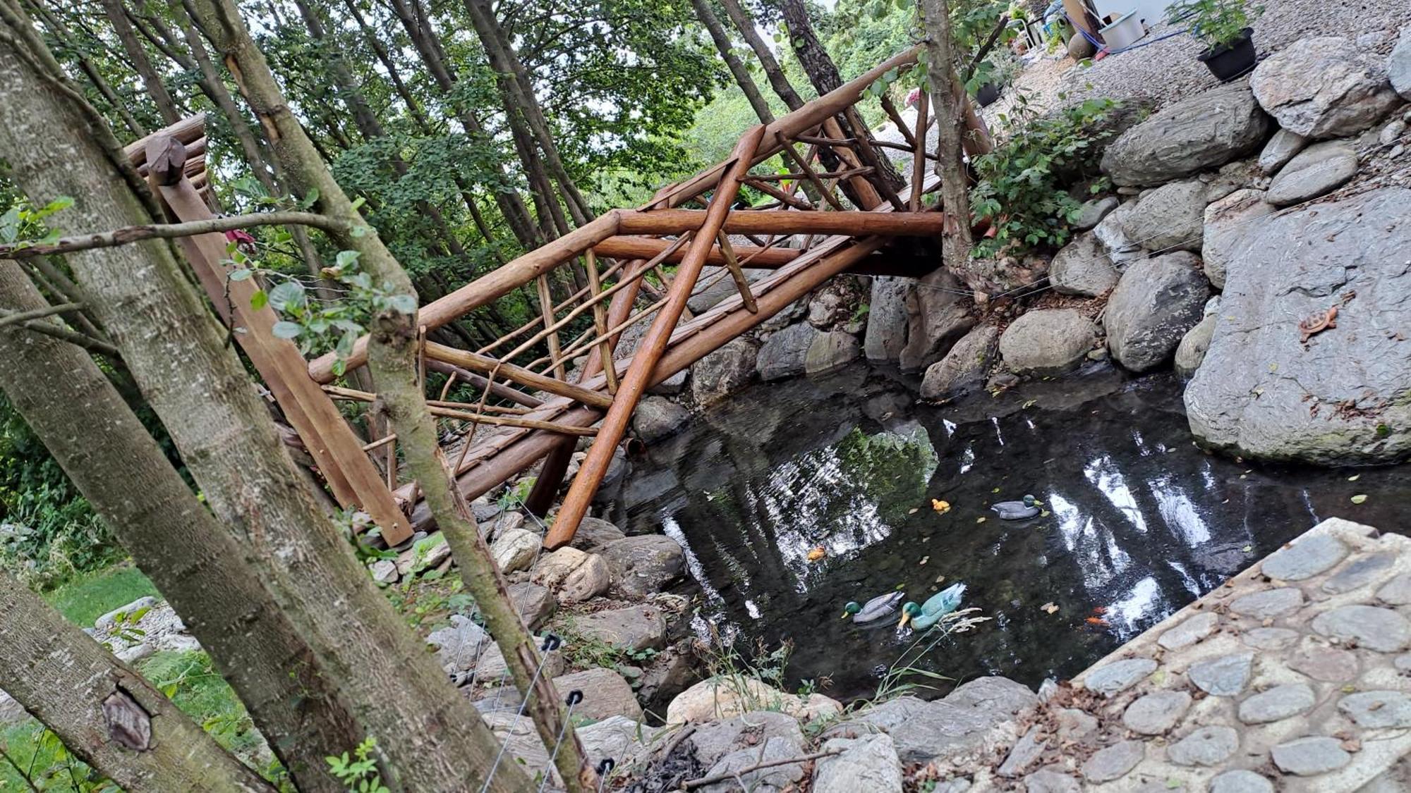 Vis Implinit Hotel Cîrţişoara Bagian luar foto