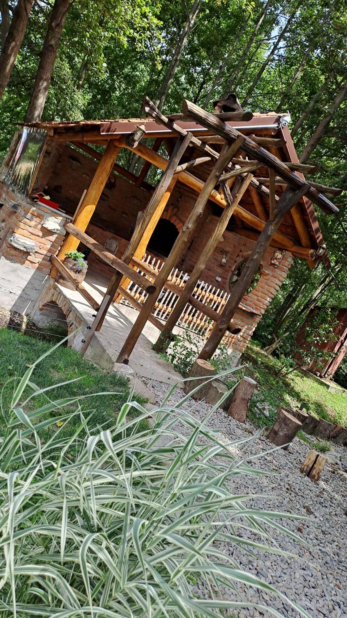 Vis Implinit Hotel Cîrţişoara Bagian luar foto